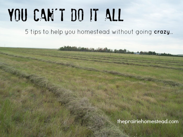 homesteading self sufficiency