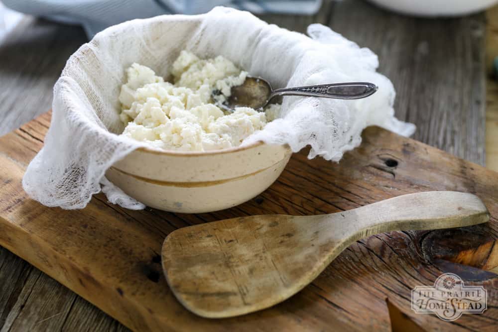 Homemade Ricotta Cheese Recipe | The Prairie Homestead