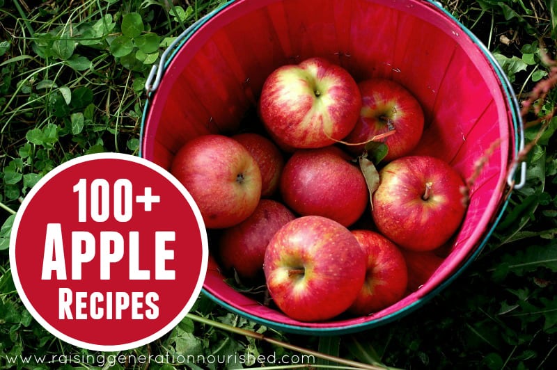 over 100 apple recipes-- everything from sweet, to savory, to salads and everything in between!