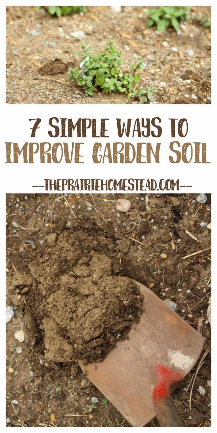 7 Simple Ways to Improve Garden Soil • The Prairie Homestead