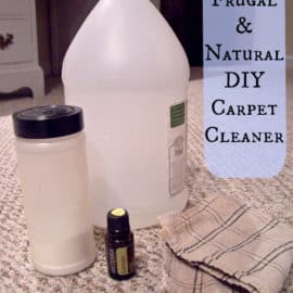 Homemade Natural Carpet Cleaner