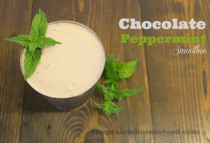 chocolate peppermint smoothie