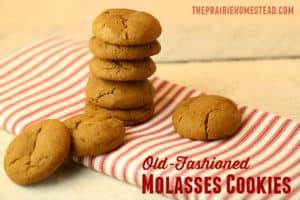 soft molasses cookies recipe