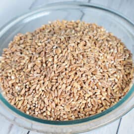 Sprouted Flour | Wheat Berries