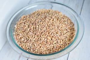 Sprouted Flour | Wheat Berries