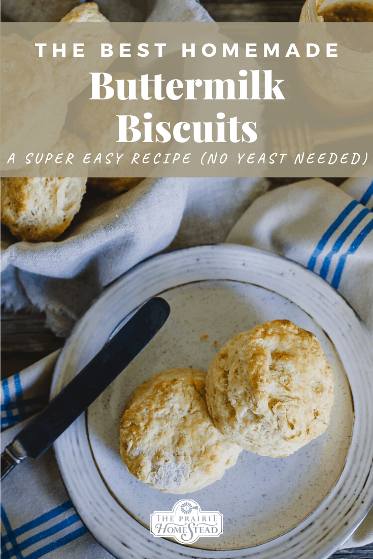 The Best Homemade Buttermilk Biscuits Recipe