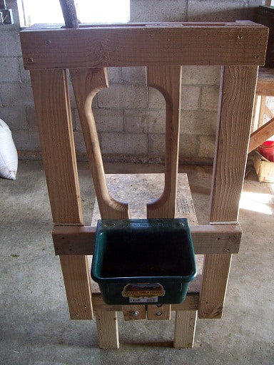 Pygmy Decking Goatstandcom Carpenter Build Goat Milking Stand 36" x 22" 
