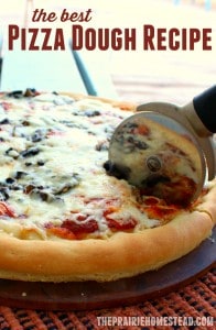 the best homemade pizza dough recipe!
