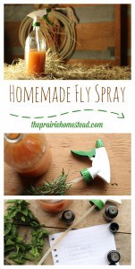 homemade fly spray recipe