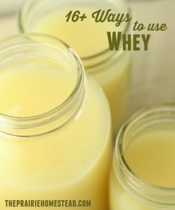 uses for whey