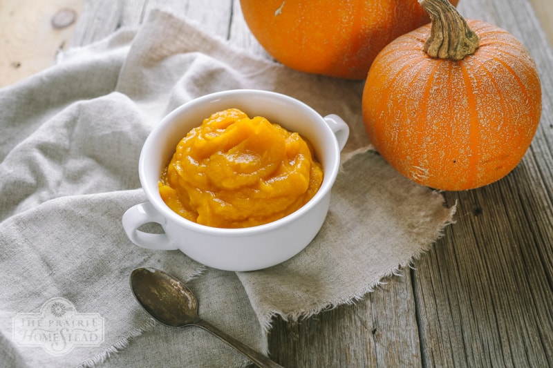 How To Make Pumpkin Puree The Easy Way The Prairie Homestead,Silver Dollar Value 1881