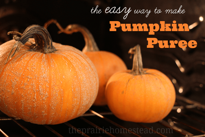How to Make Pumpkin Puree (the easy way)