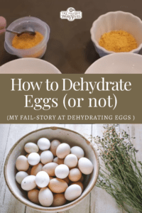 How to Dehydrate Eggs (or not)