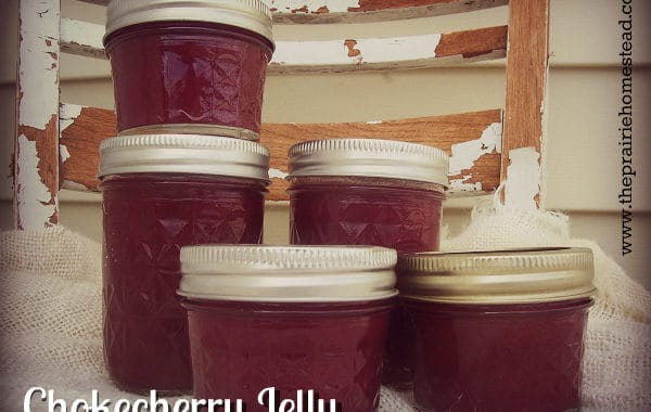 chokecherry jelly recipe