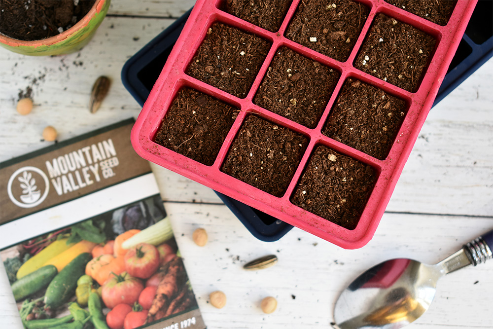 DIY Seed Starting Pots | Ice Cube Trays