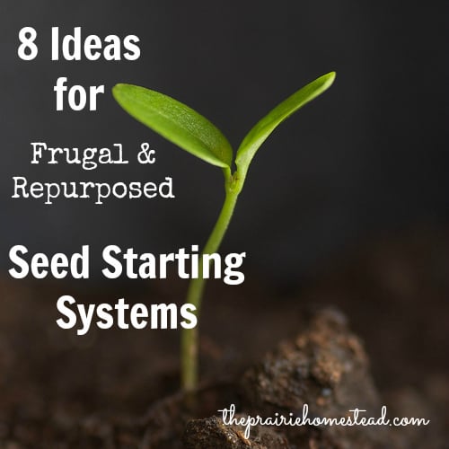 frugal seed starting pots