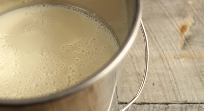 16 reasons for off-flavors in fresh milk