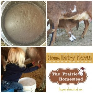 home dairy