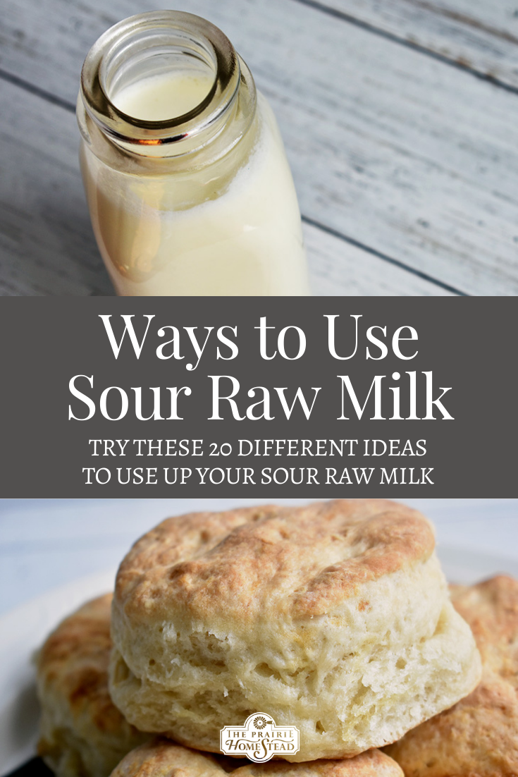20 Ways to Use Sour Raw Milk • The Prairie Homestead