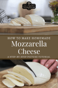 How To Make Homemade Mozzarella Cheese