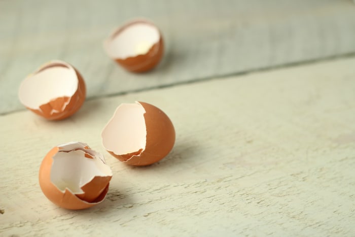 uses for eggshells