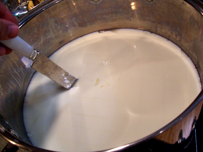 How to Make Mozzarella: Cutting the Curds