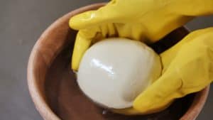 Placing the Homemade Mozzarella Cheese in Water