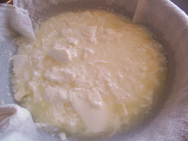 how to make soft cheese