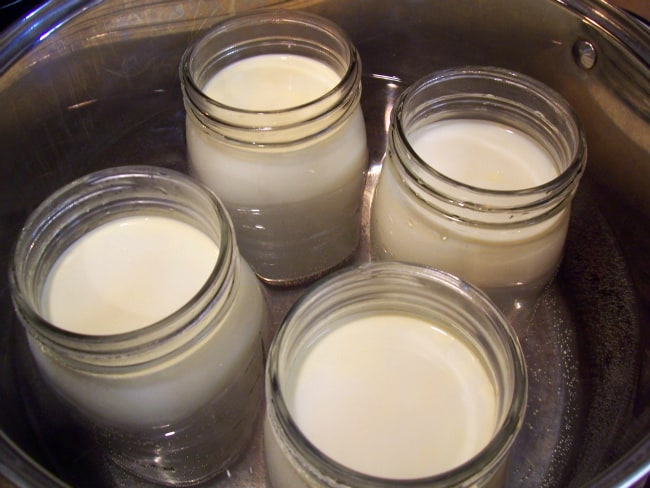 how to make homemade yogurt