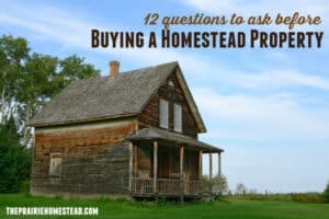 how to buy a homestead