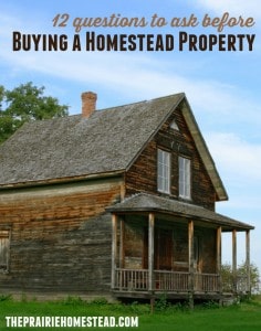 buying a homestead property