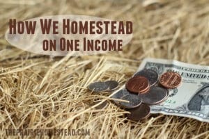 how to homestead on one income