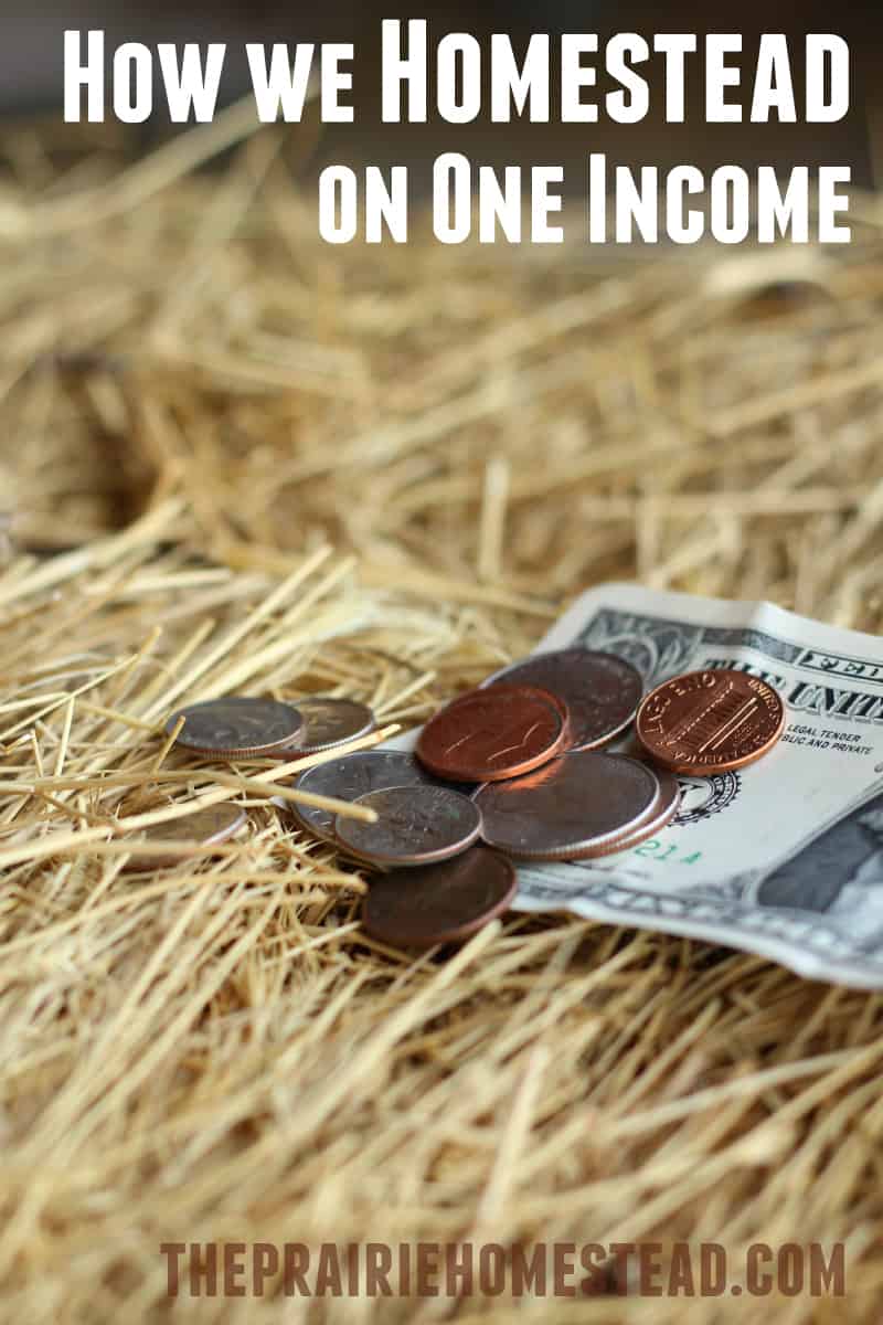 how to homestead on one income