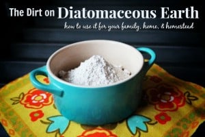 uses for diatomaceous earth