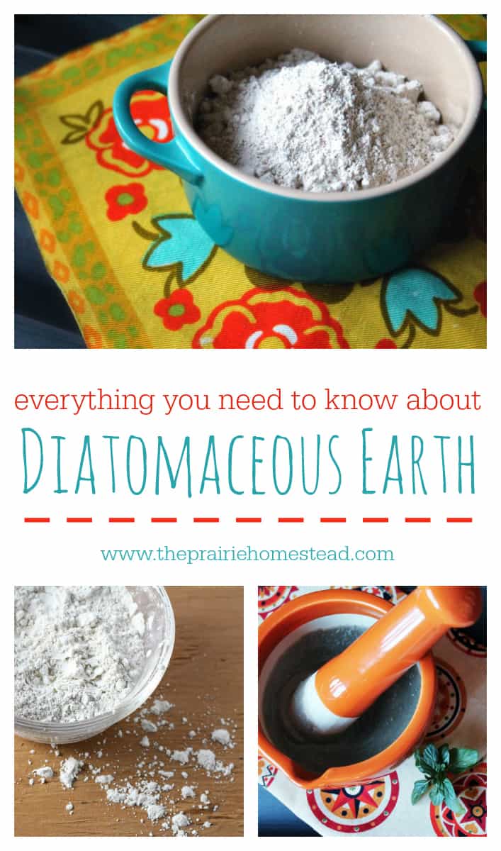 How To Use Diatomaceous Earth The Prairie Homestead