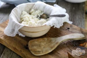 how to make ricotta cheese