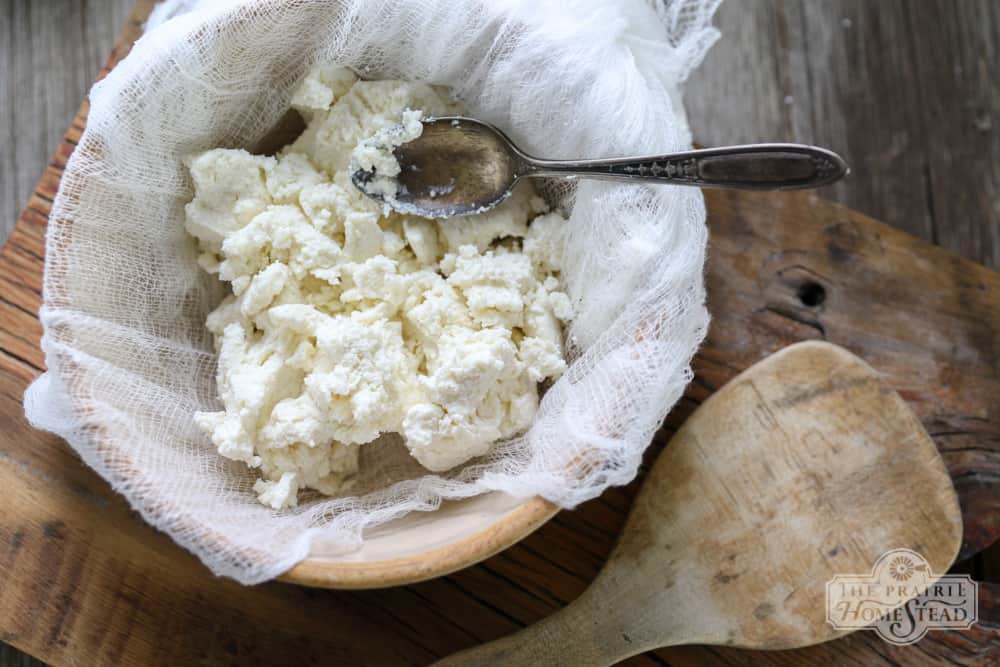 Homemade Ricotta Cheese Recipe | The Prairie Homestead