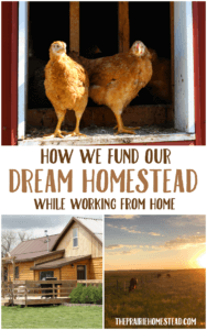 how we have afforded to build out dream homestead while working from home