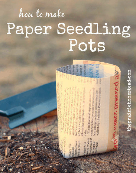 newspaper seedling pots