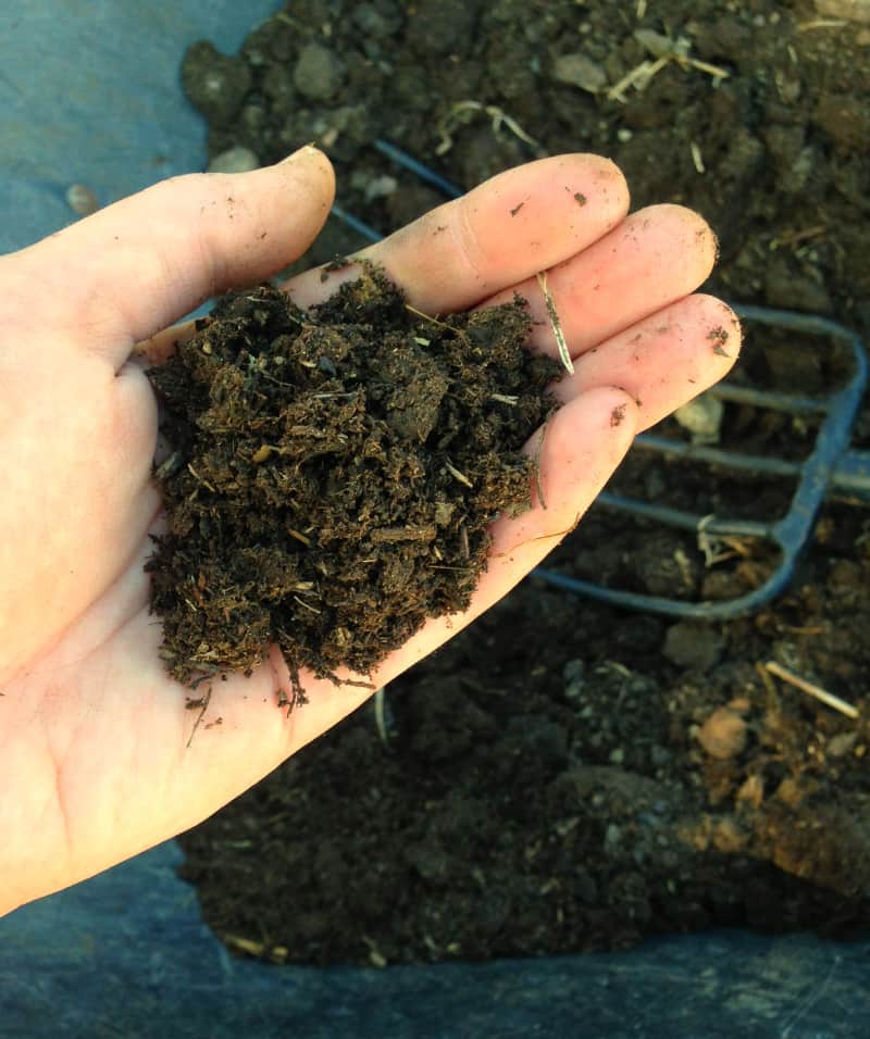 How to Use Deep Mulch on Your Garden: Gorgeous compost
