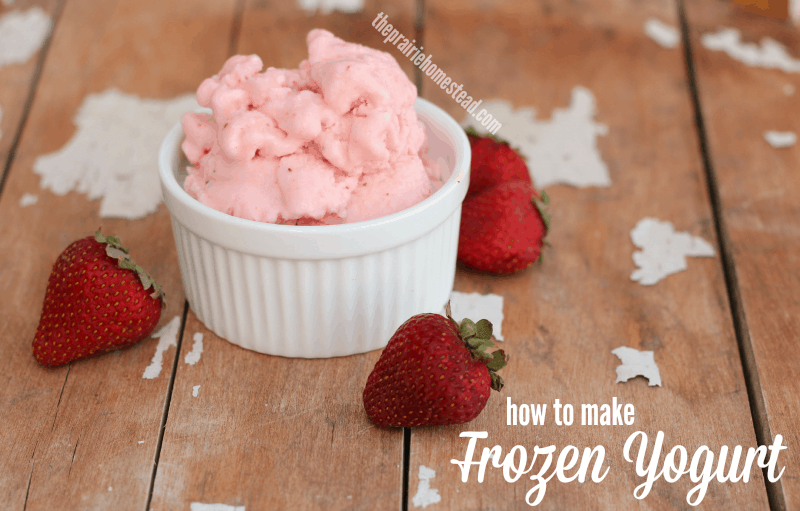 frozen yogurt recipe
