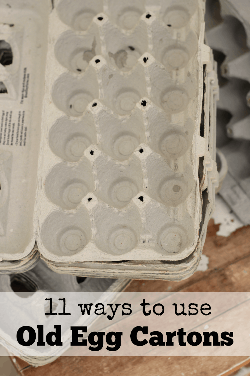 11 Ways to Use Old Egg Cartons