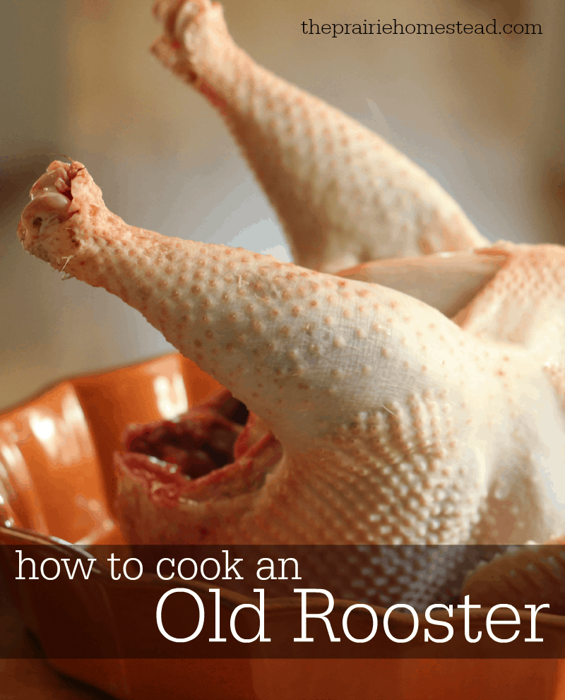 how to cook an old tough chicken