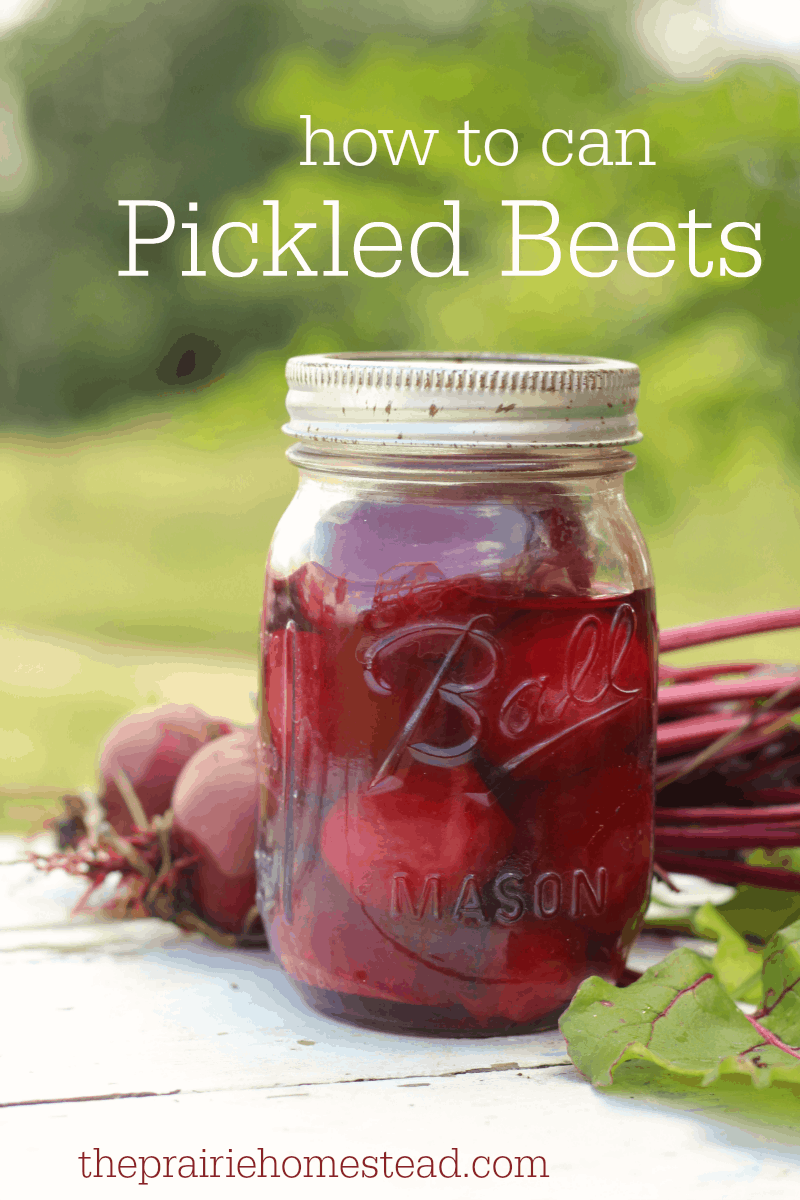 how to can pickled beets recipe