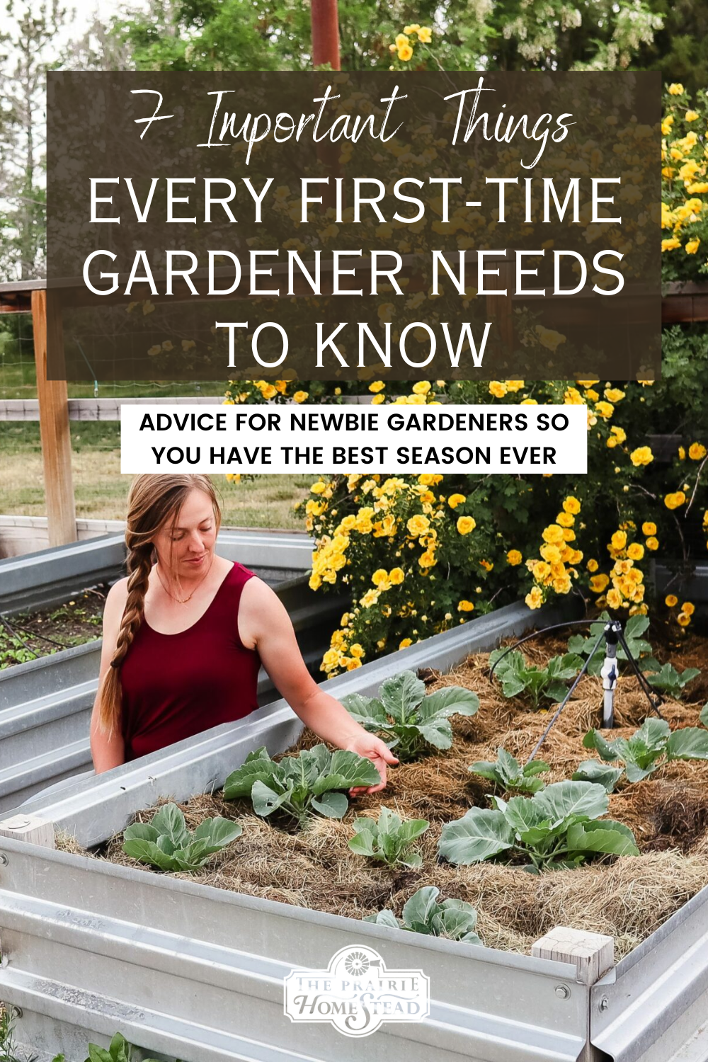 7 Important Things Every First-Time Gardener Needs to Know