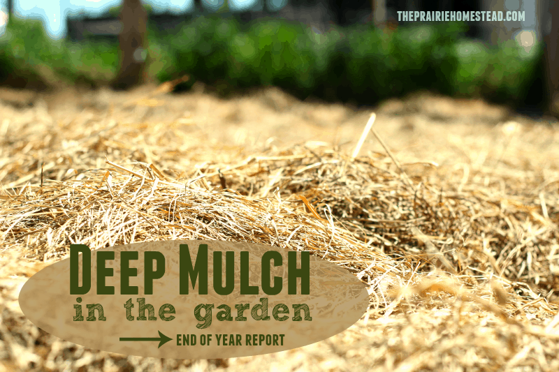 how to use deep mulch in your garden for better moisture retention and fewer weeds!
