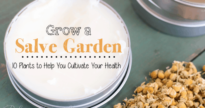 10 healing herbs to grow in your salve garden