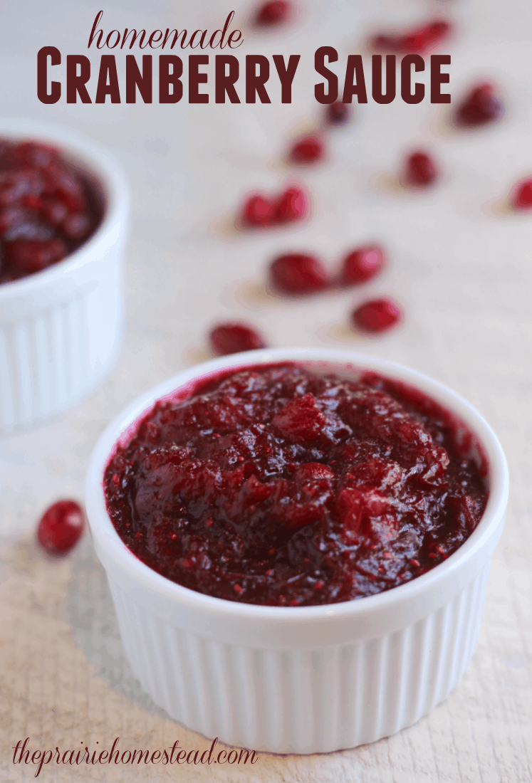 Homemade Cranberry Sauce Recipe -- you won't believe how easy it is to make it yourself!