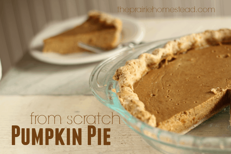 A from-scratch pumpkin pie recipe that uses honey and NO canned milk!