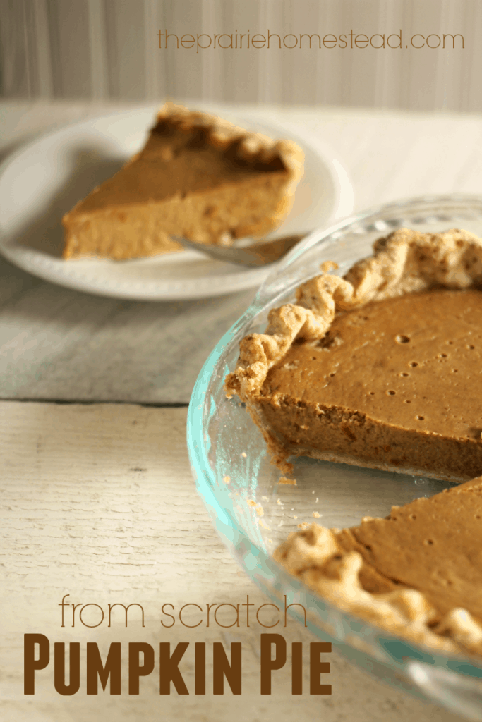 A from-scratch pumpkin pie recipe that uses honey and NO canned milk!